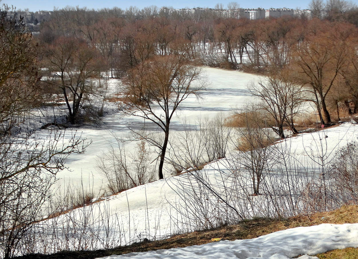 Мартовский пейзаж