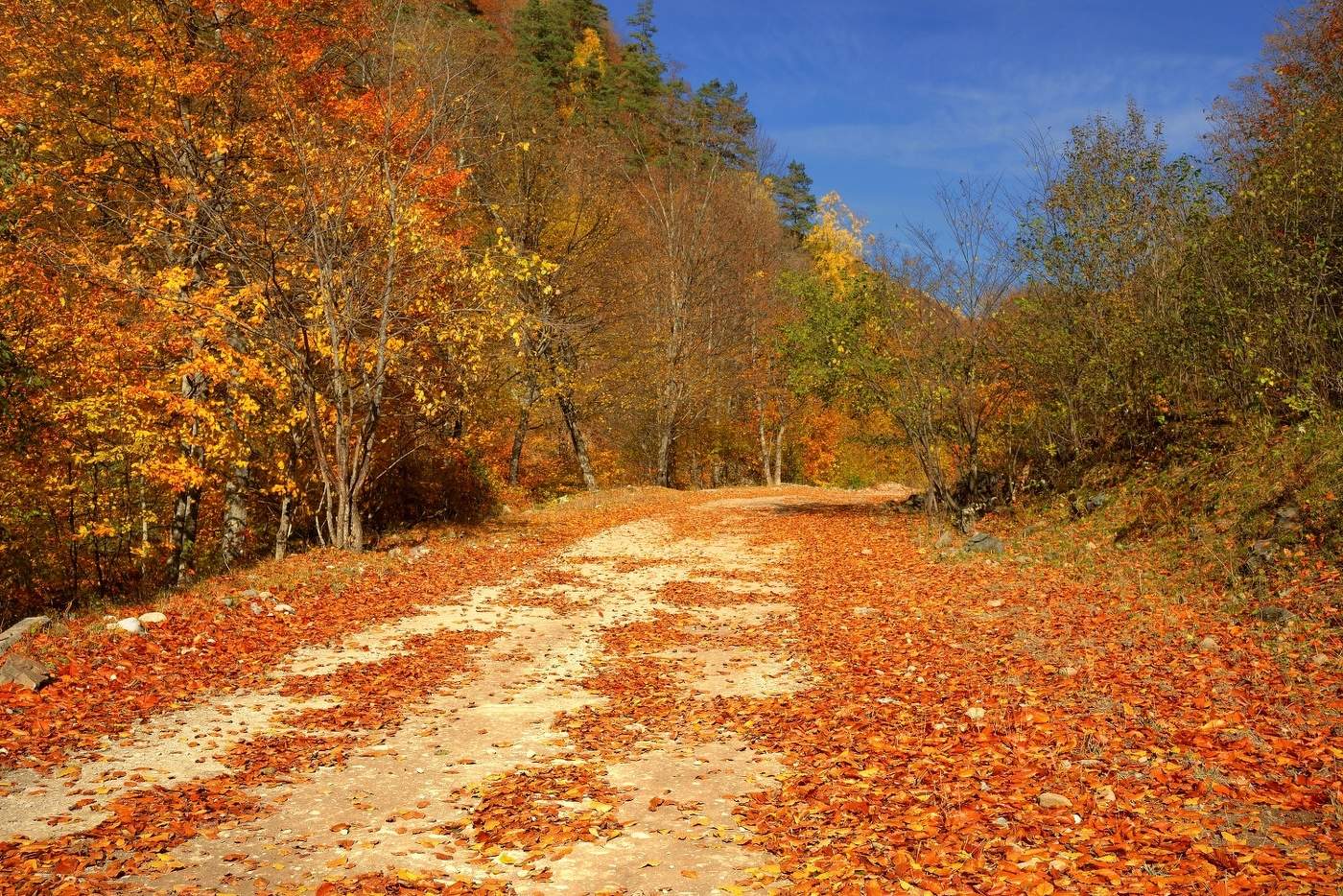 Осеняя дорога