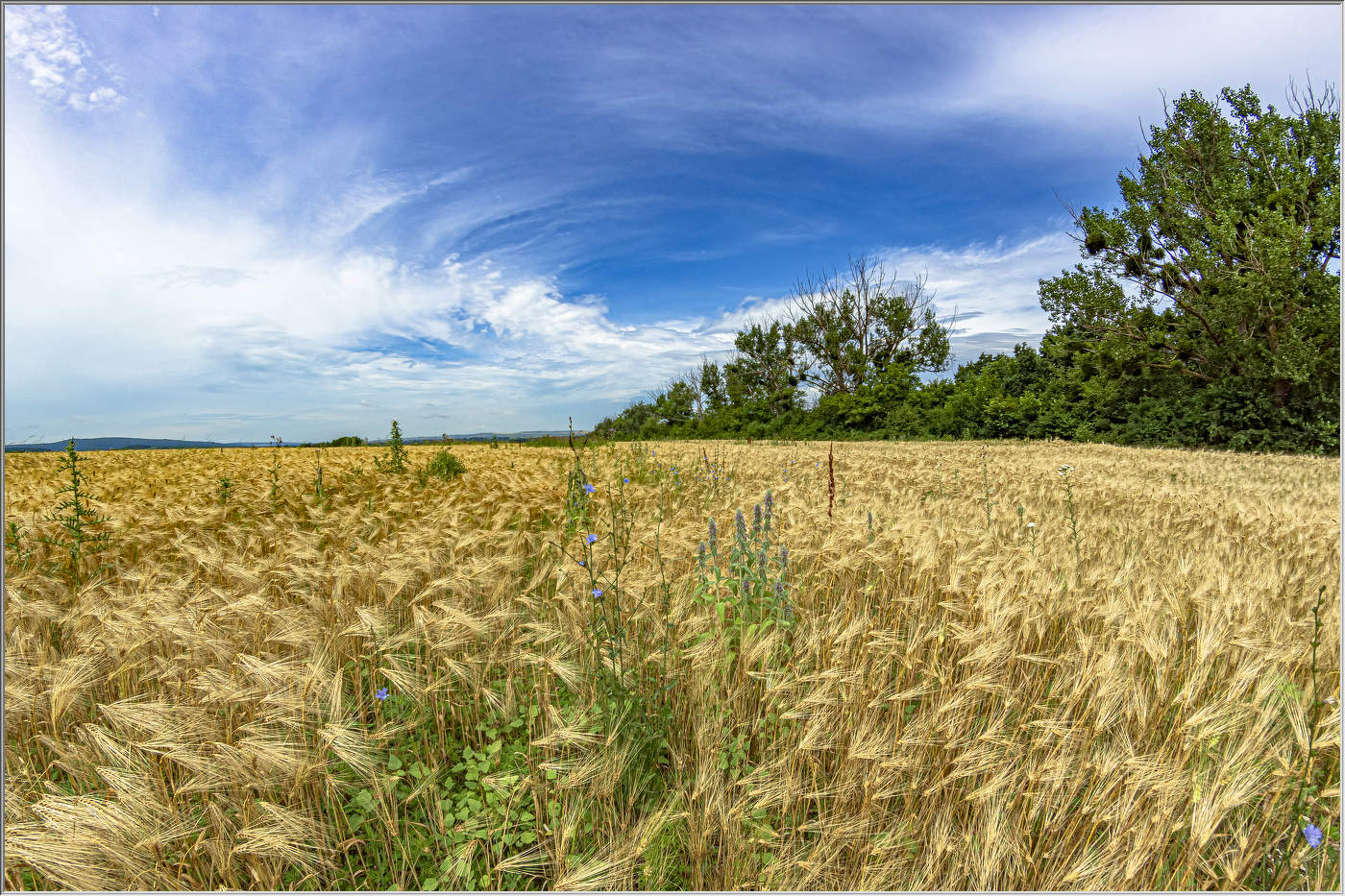 Кубанские просторы
