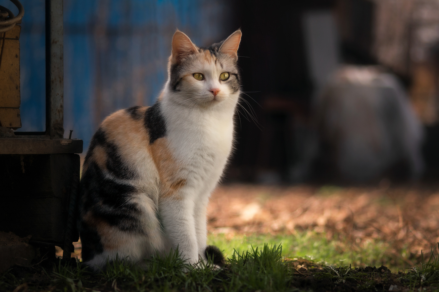 Мартовские посиделки.