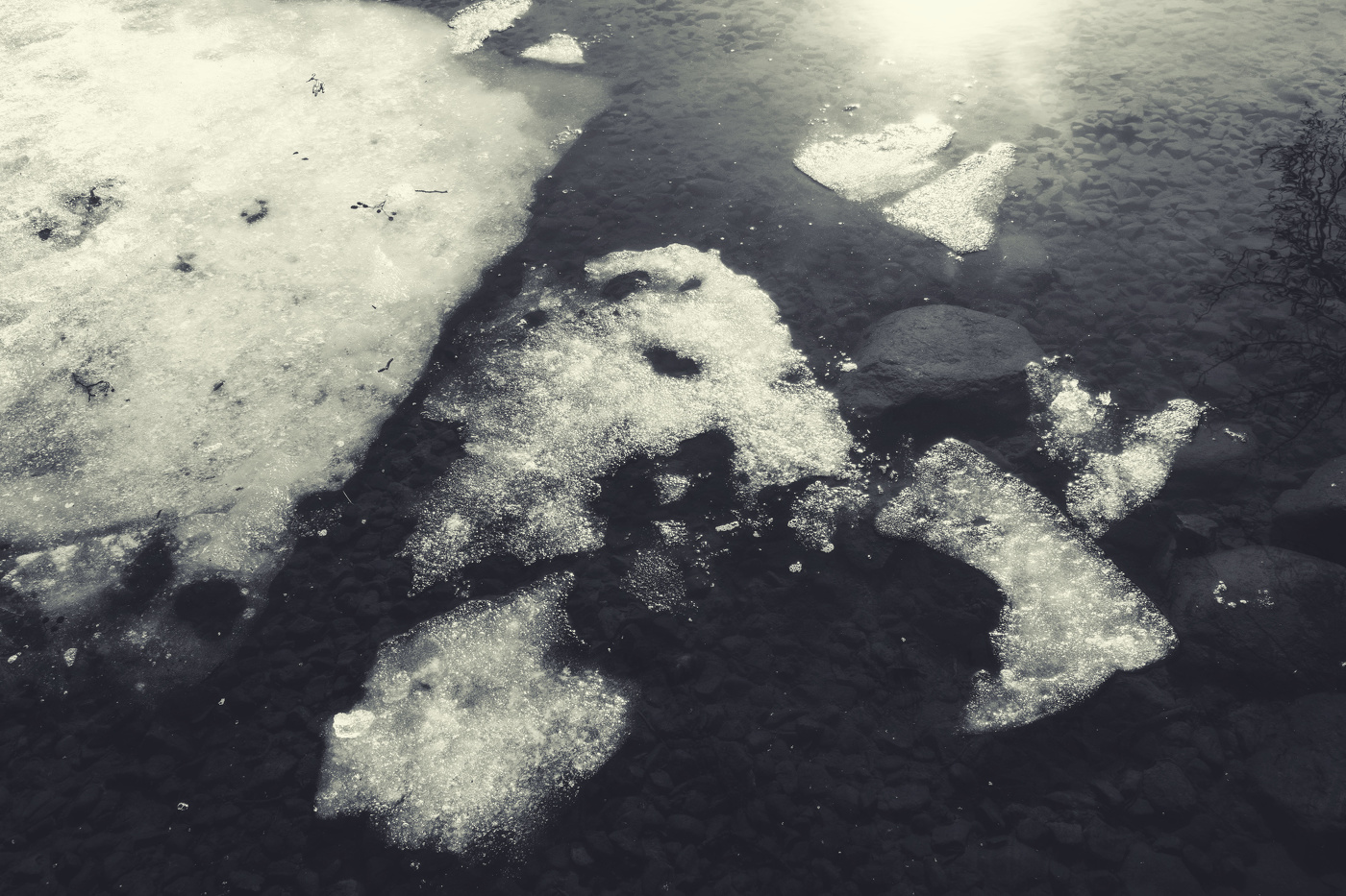 Жизнь вокруг