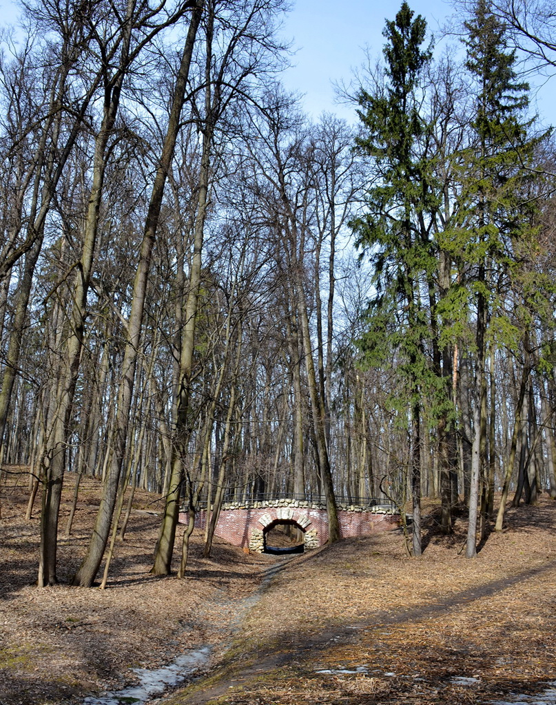 Царицынские мостики