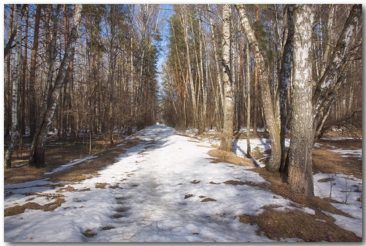 Весенний сюжет