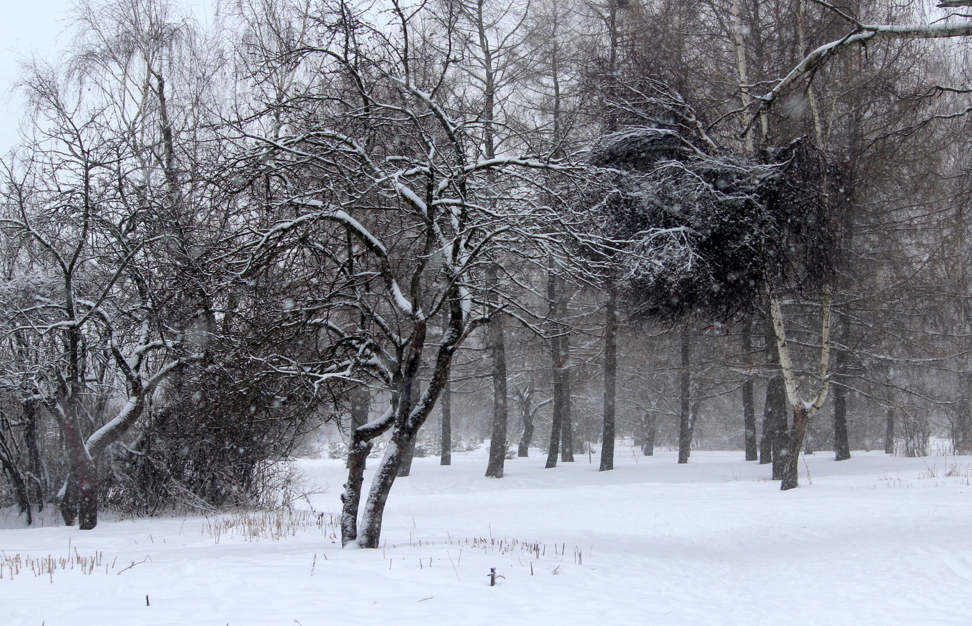 Чудеса природы!