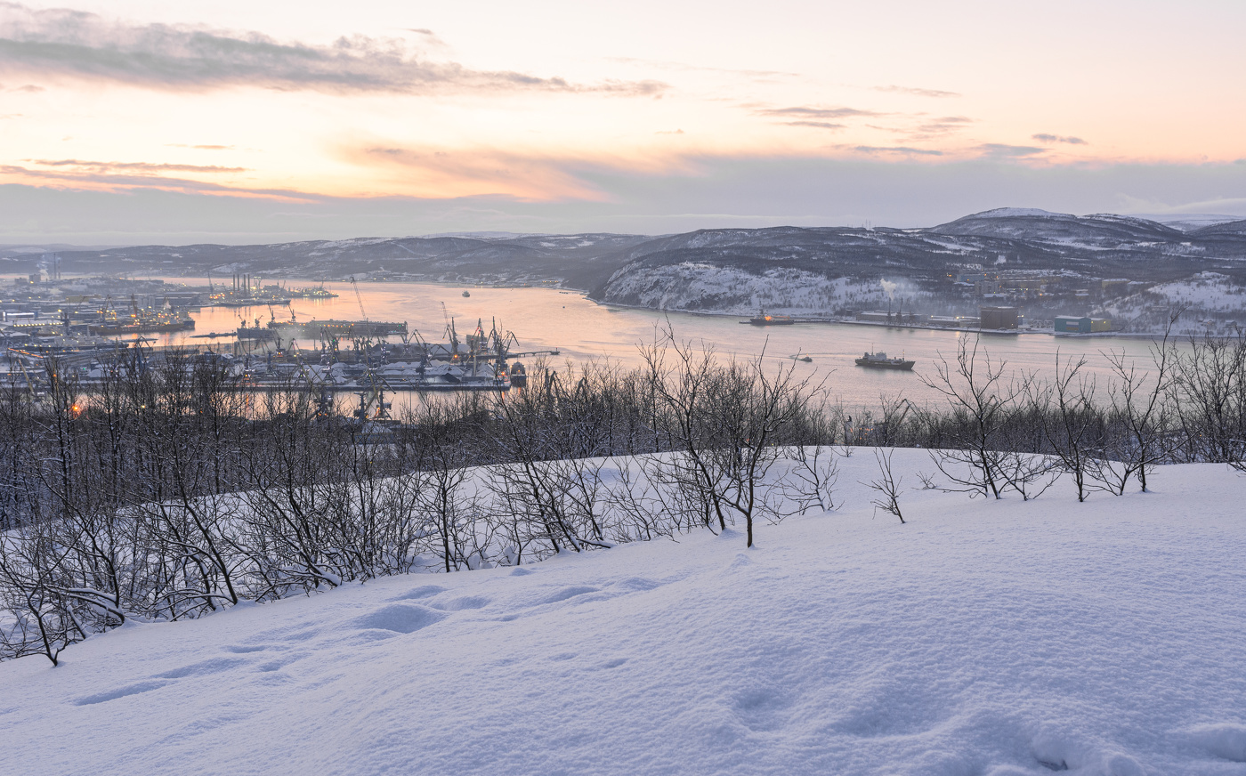 в Полярную ночь