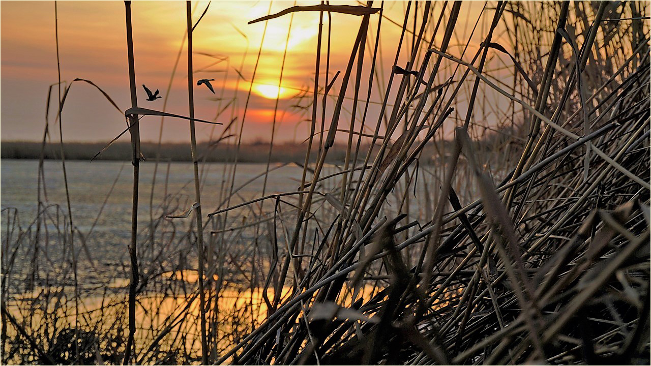 Вечер на озере