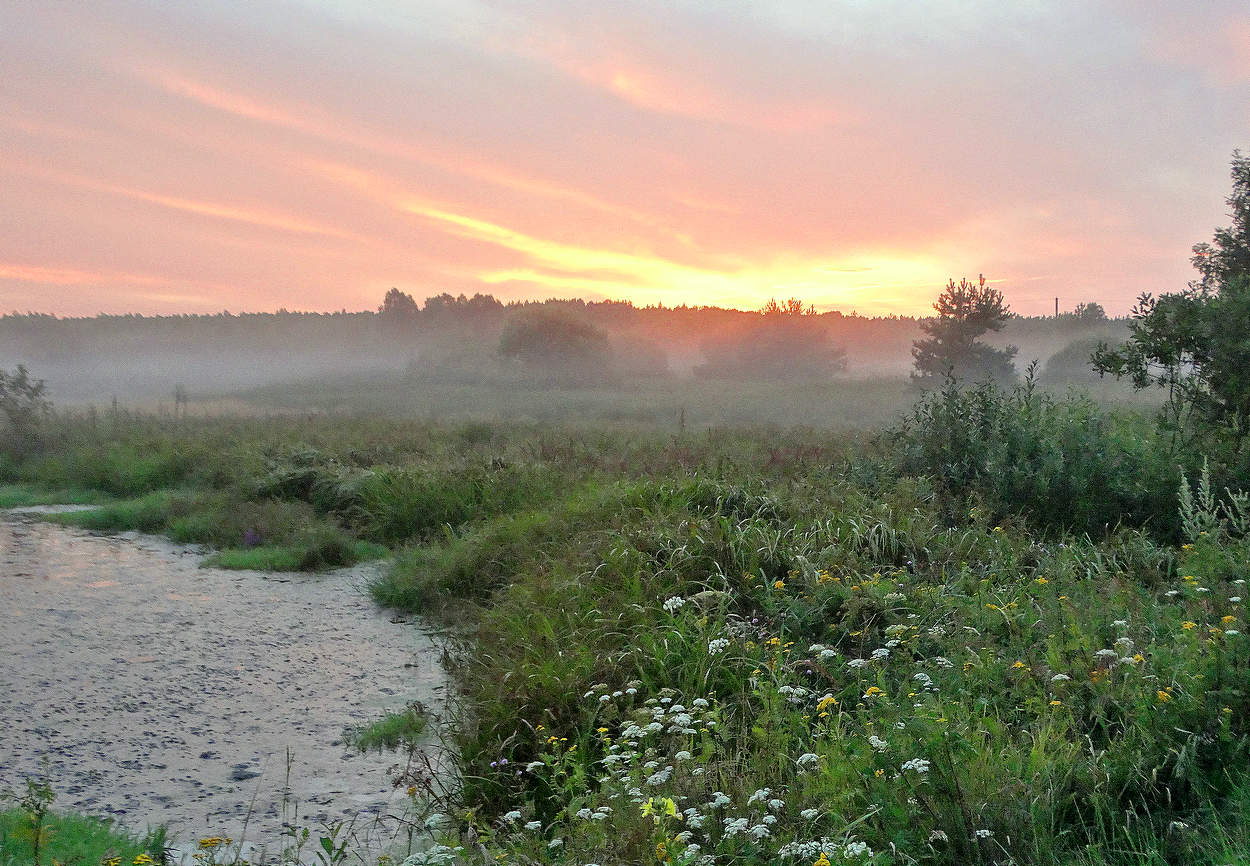 Летний туманный вечер
