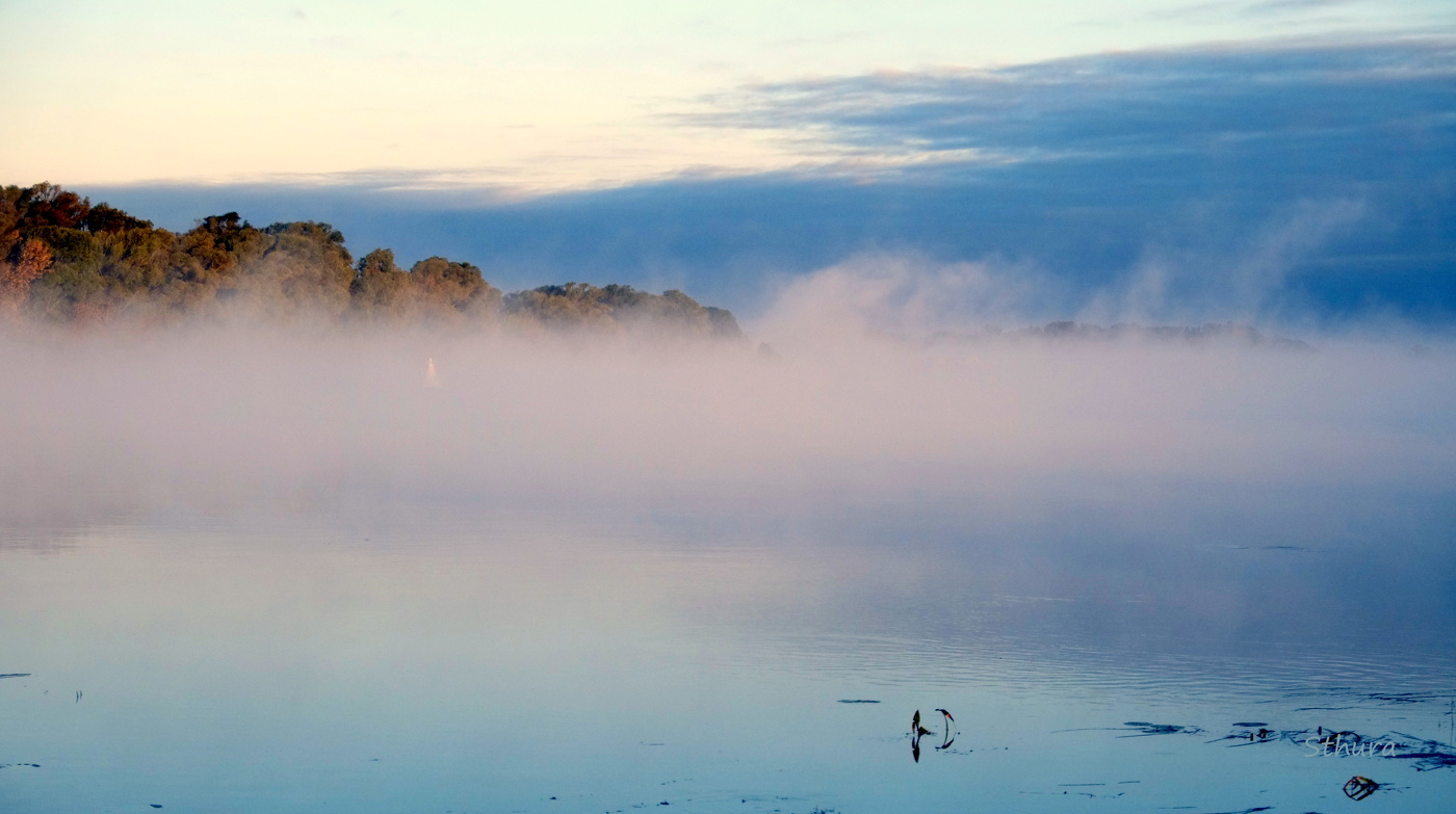Осенний туман.