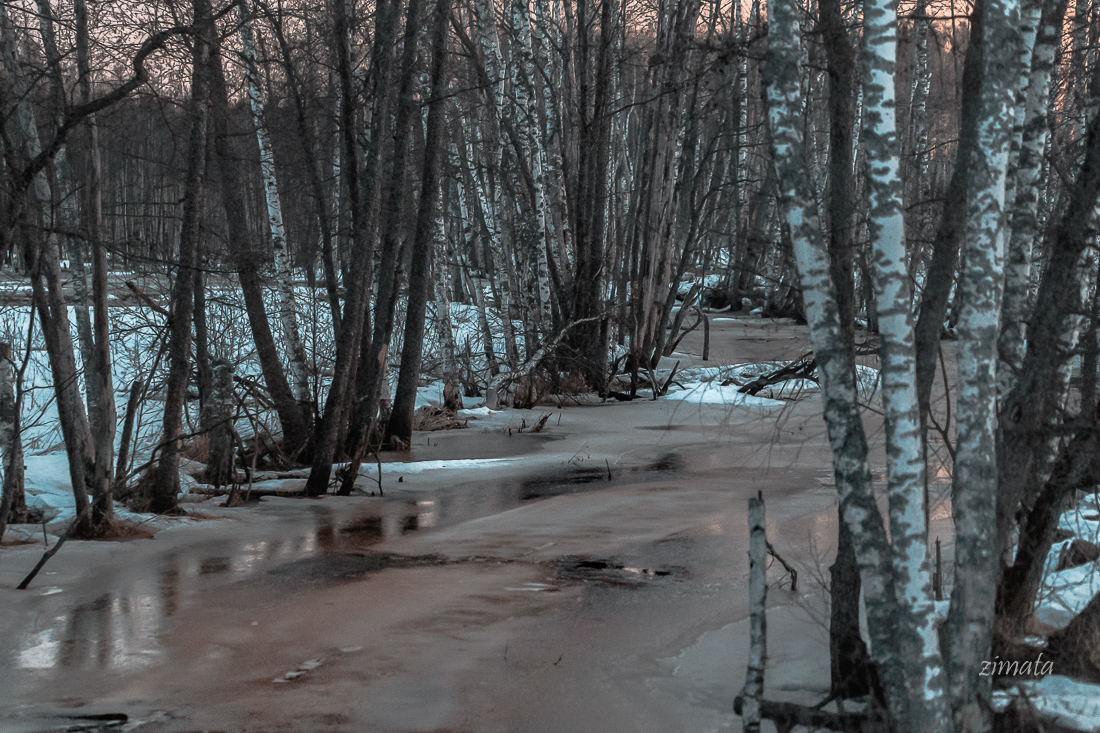 на рассвете