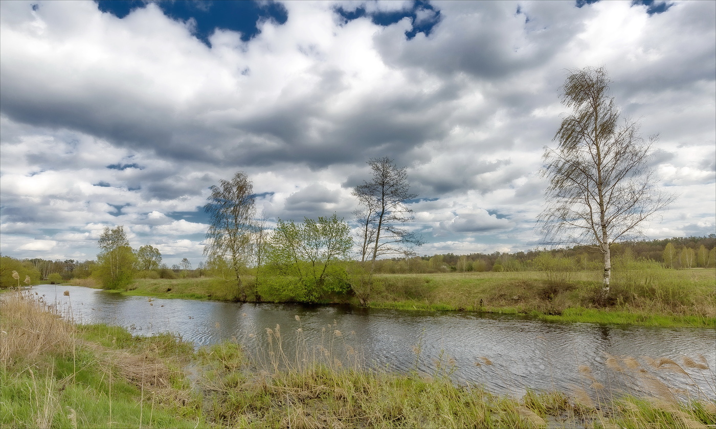 Весна шагает быстрыми шагами...