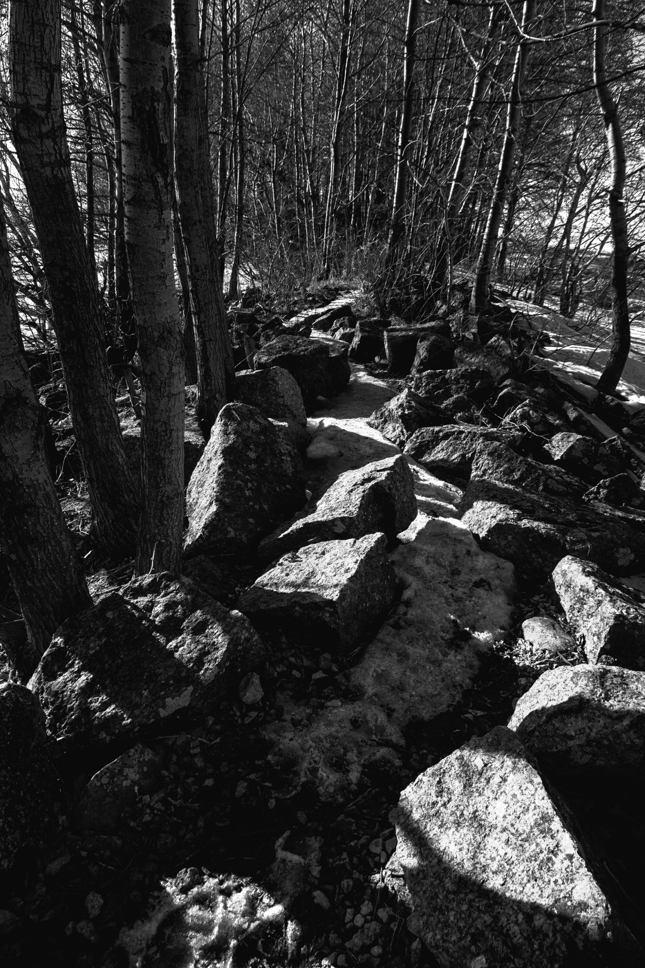 Жизнь вокруг