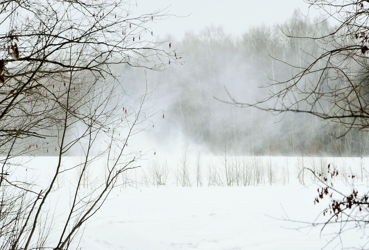 "Плачет метель, как цыганская скрипка ..."