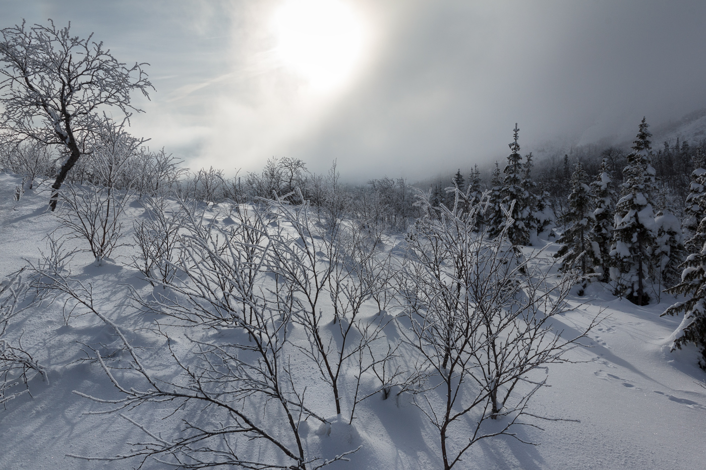 весенний месяц март