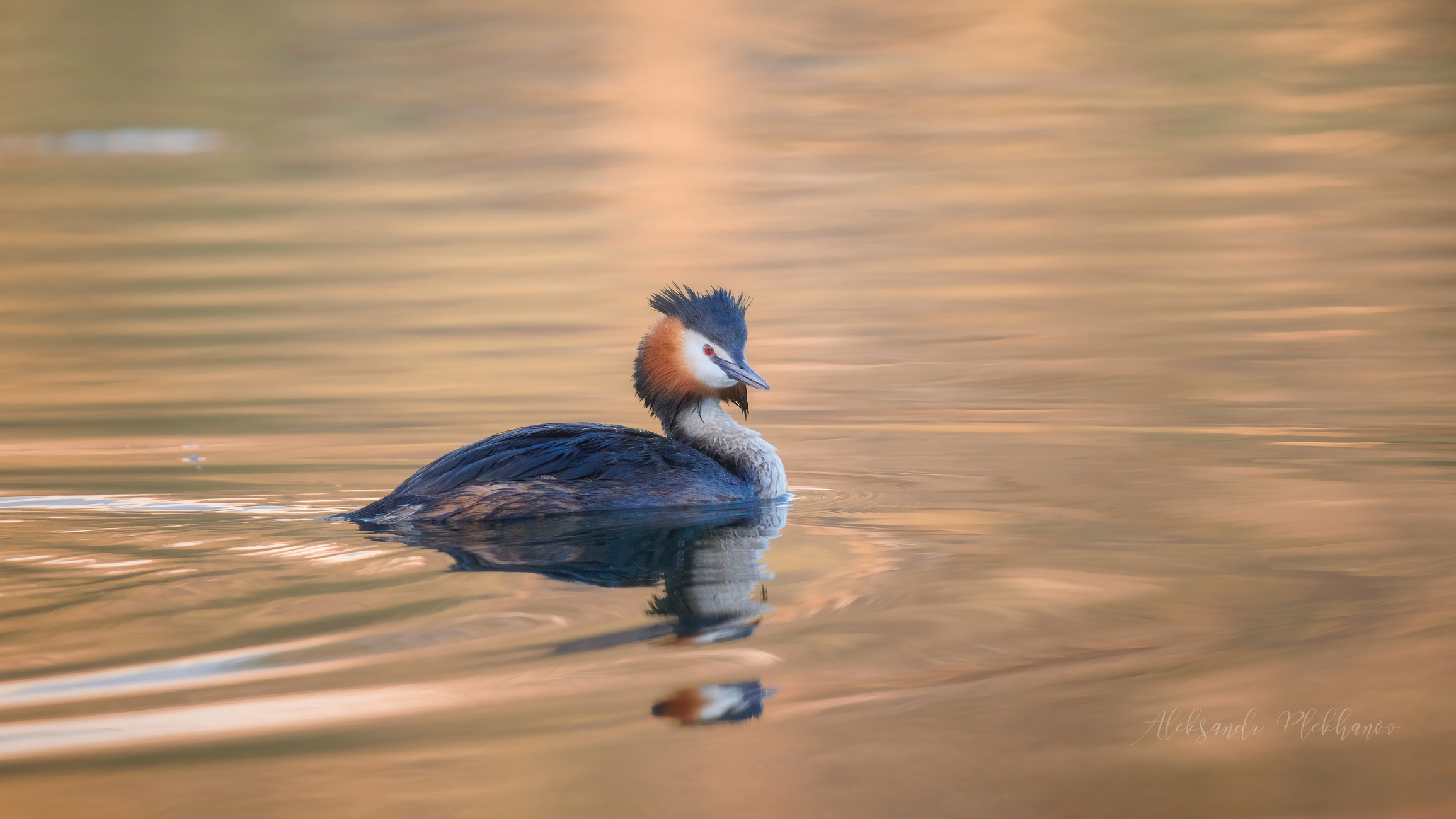 Золотое адажио