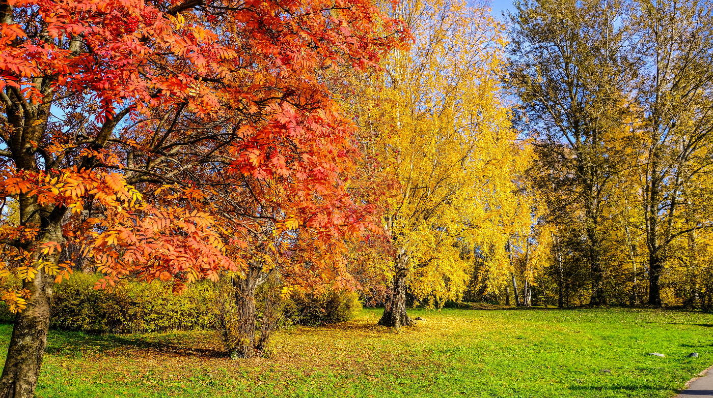Акварели осени
