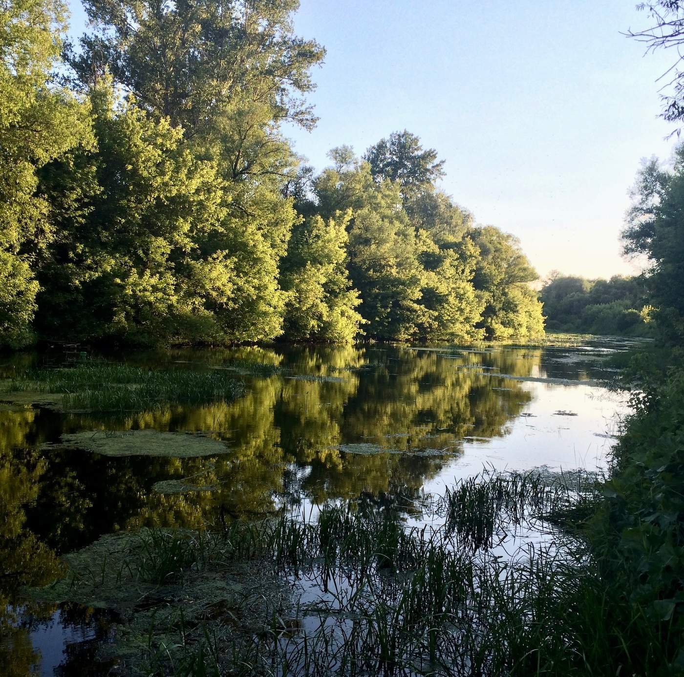 Вечер над рекой