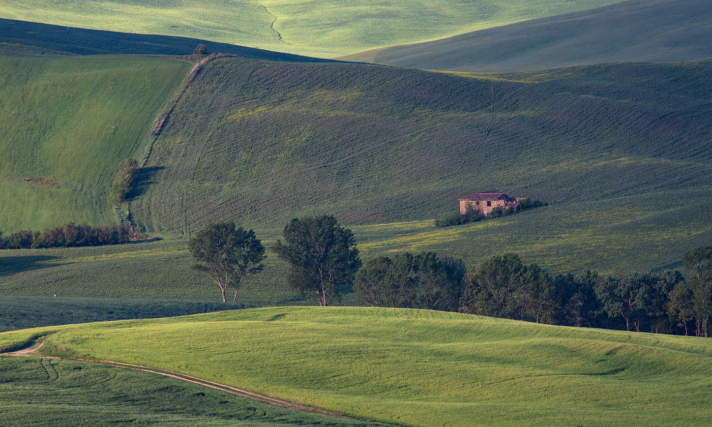 Среди зеленых ковров