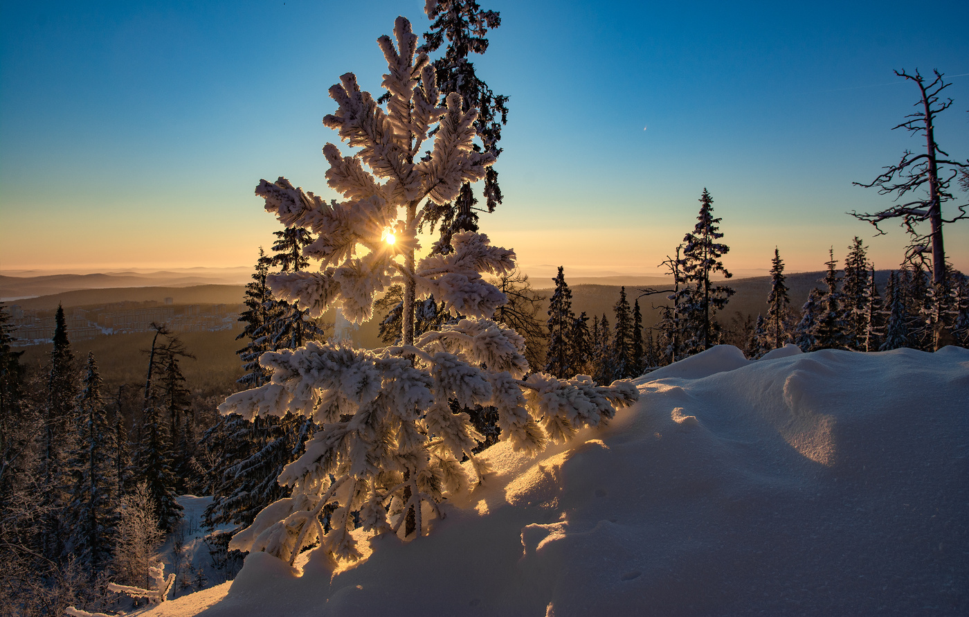 Утренние дали