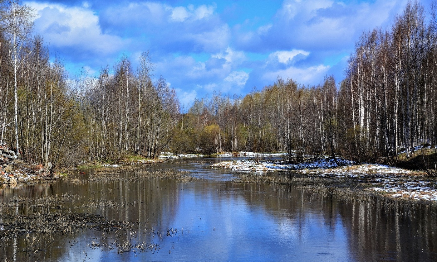 И снова весна.