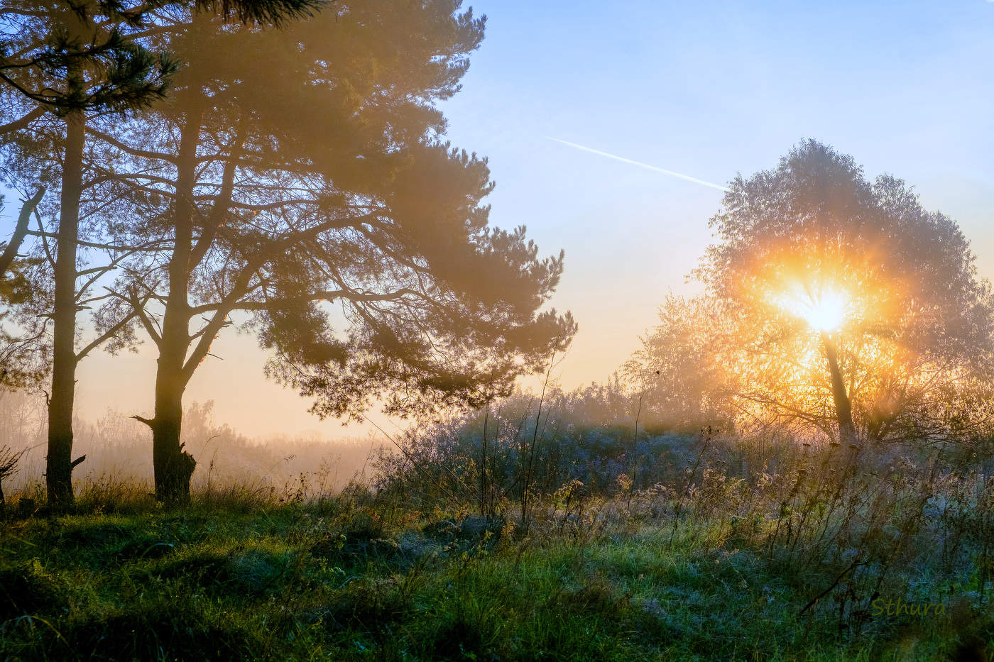 Утро осеннее.