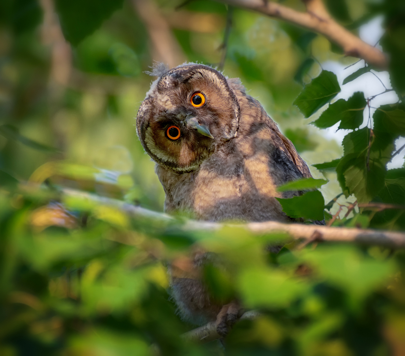 подбор ракурса..