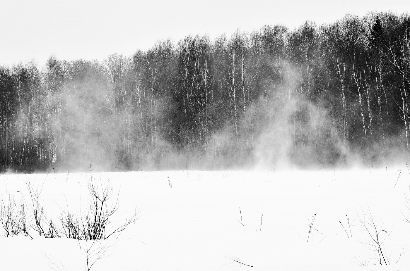 "Кружится пара - метелица с ветром ..."