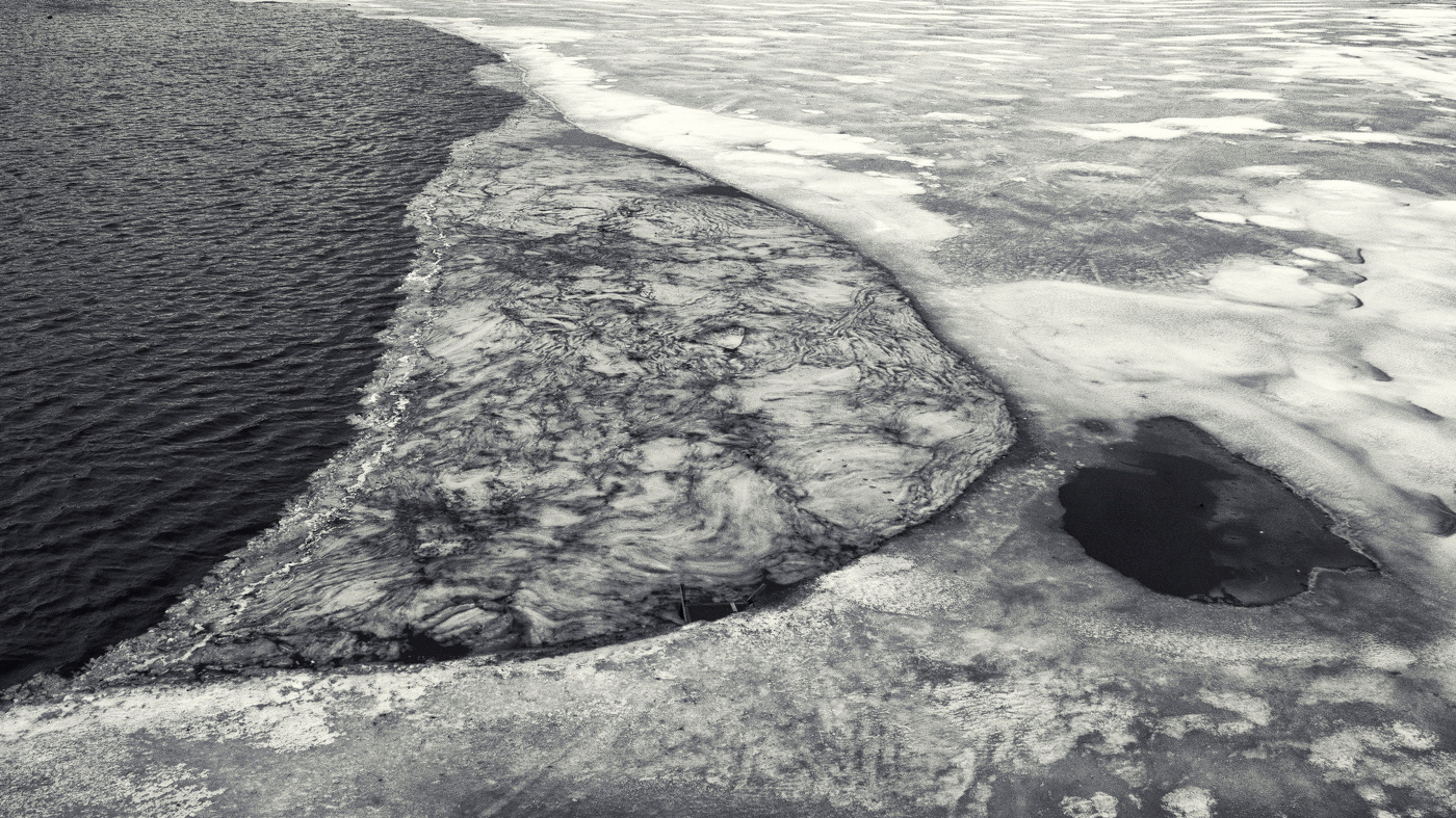 Жизнь вокруг