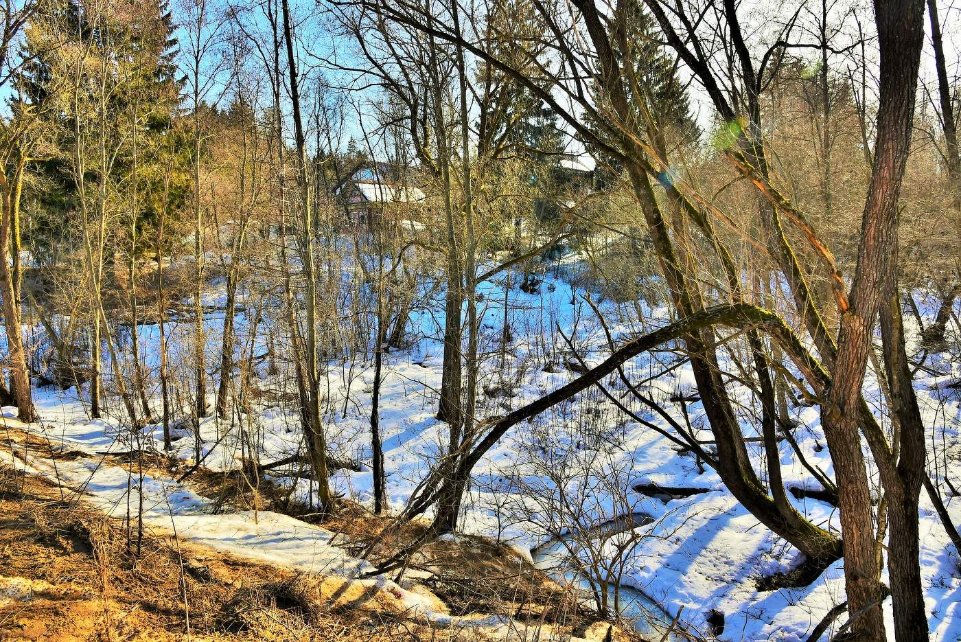 "Деревья были тощими, был на исходе март..."