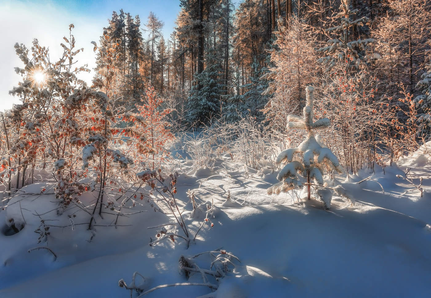 Солнечное утро