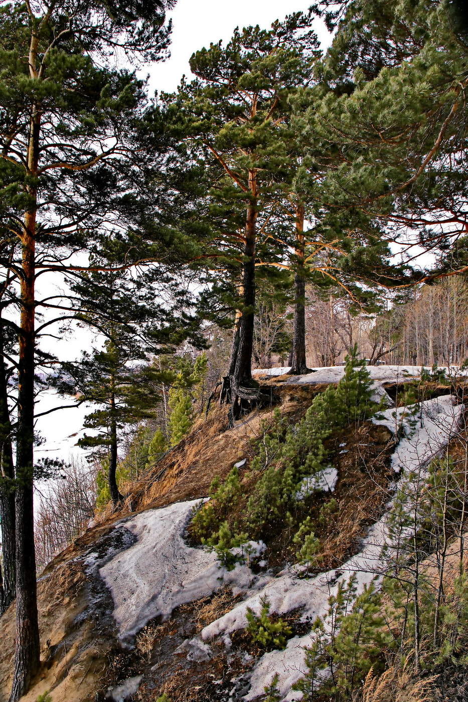 *Мартовским днём.**