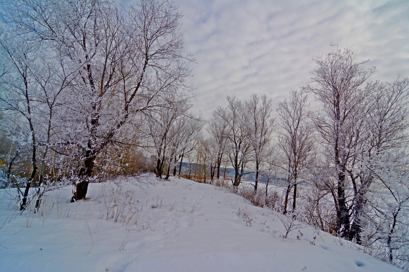 Серебро зимы.