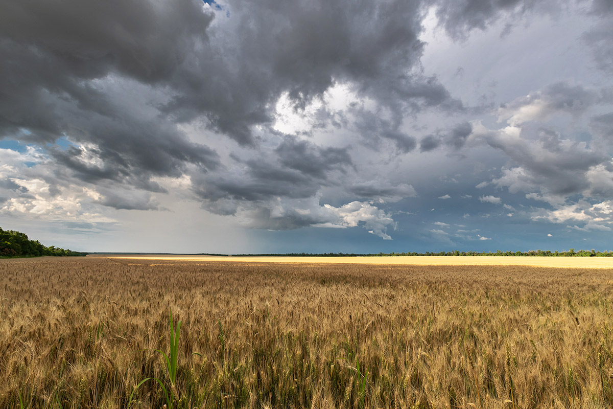 Дождь заходит