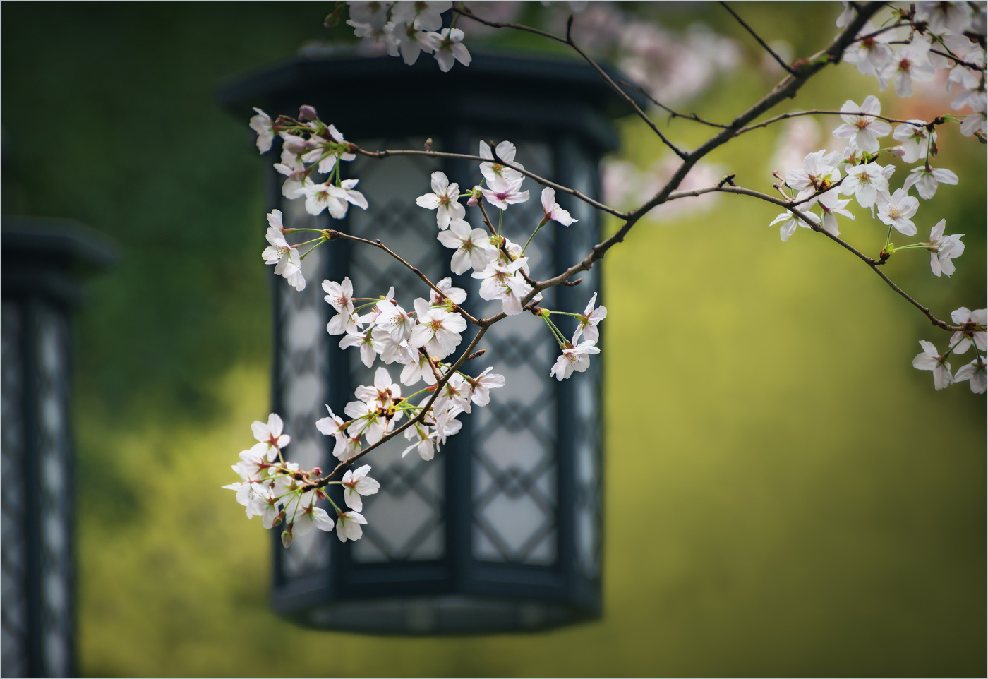 Японские мотивы