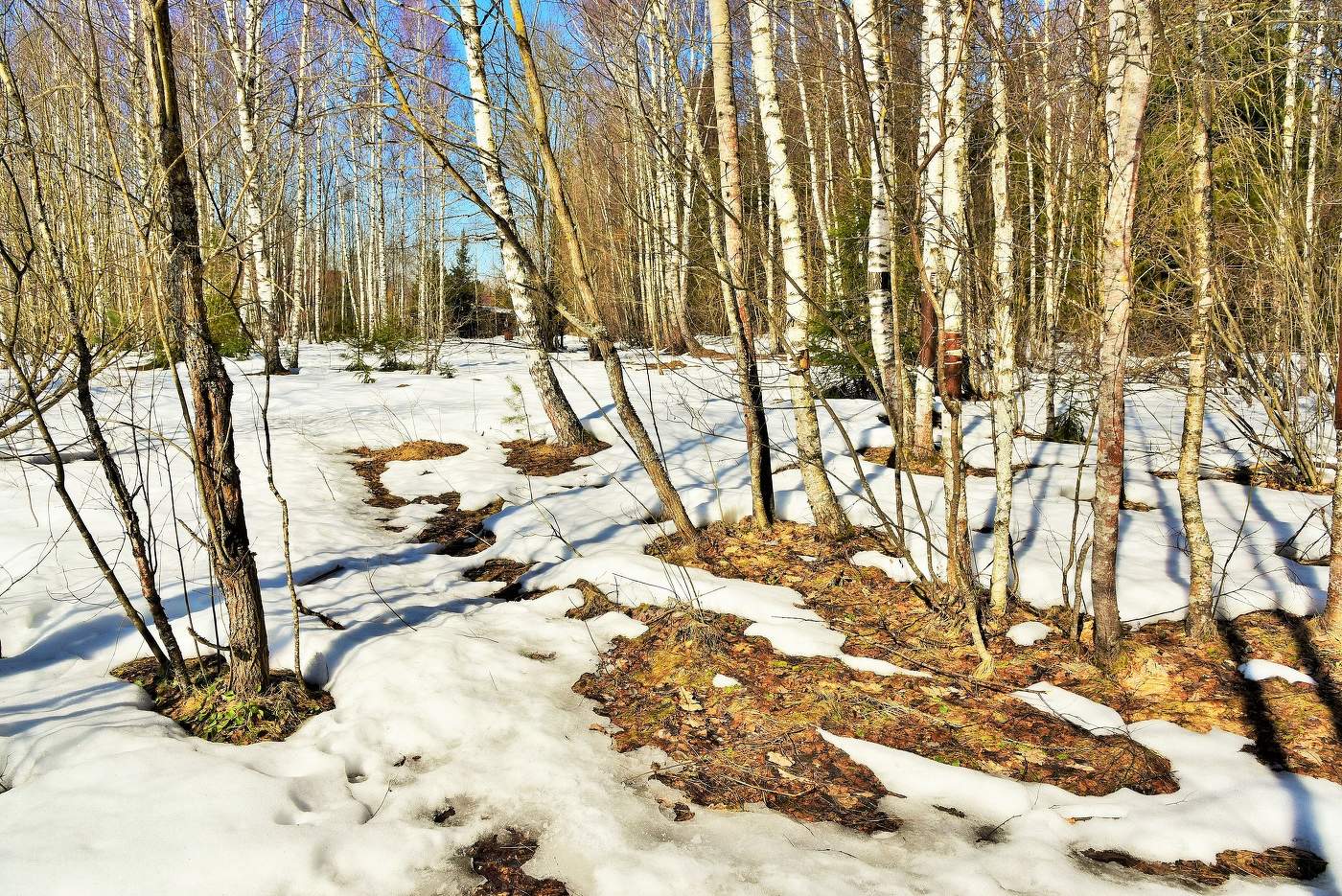 "К нам весна шагает быстрыми шагами .."