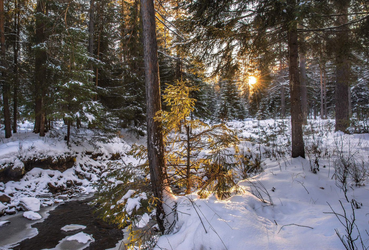 Вечерний свет