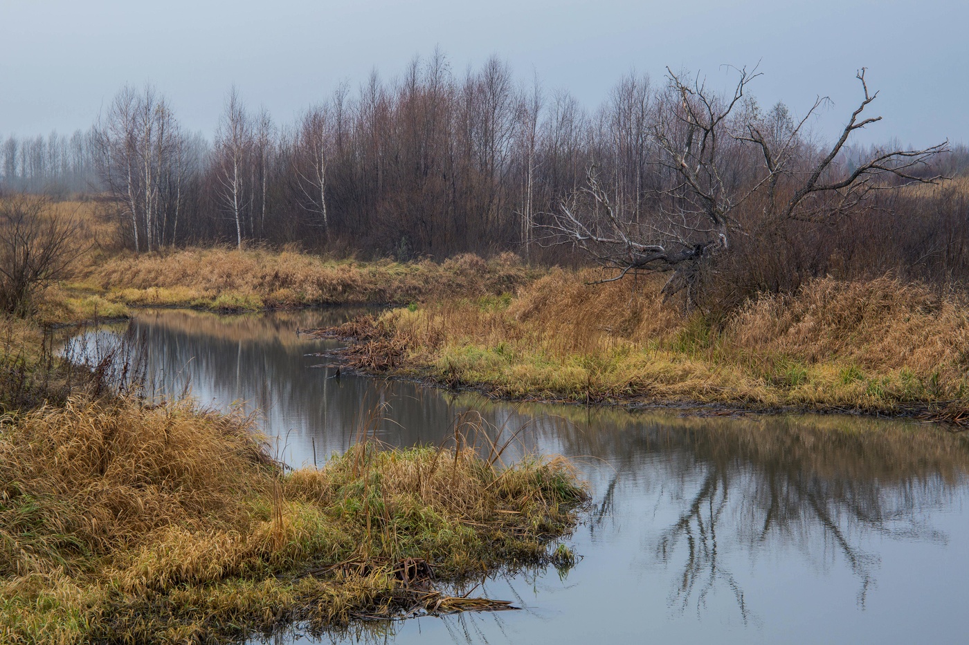 Ноябрьское утро