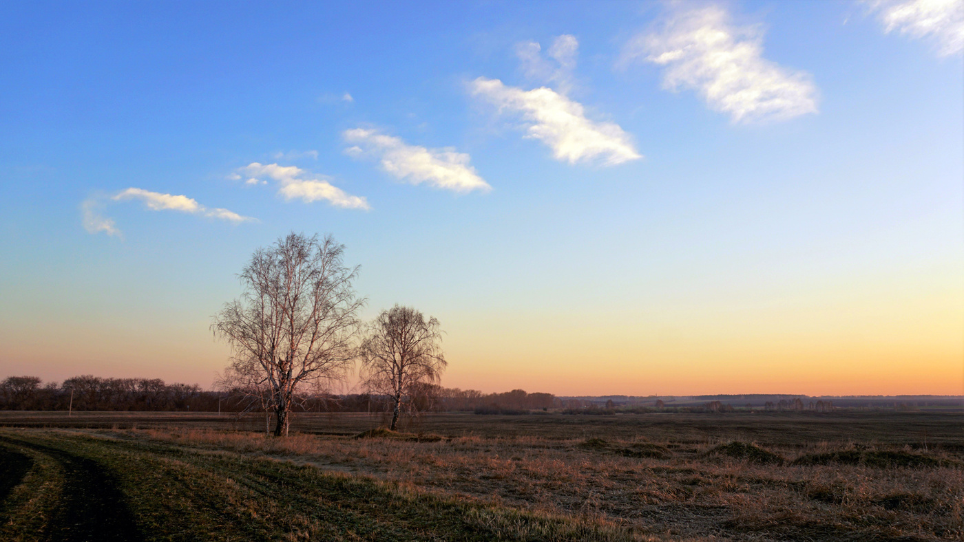 Утро ранней весны