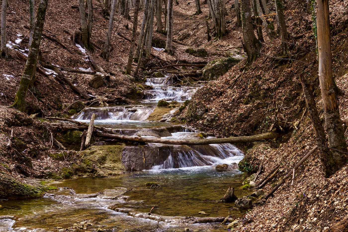 В ущелье реки Сары-Су