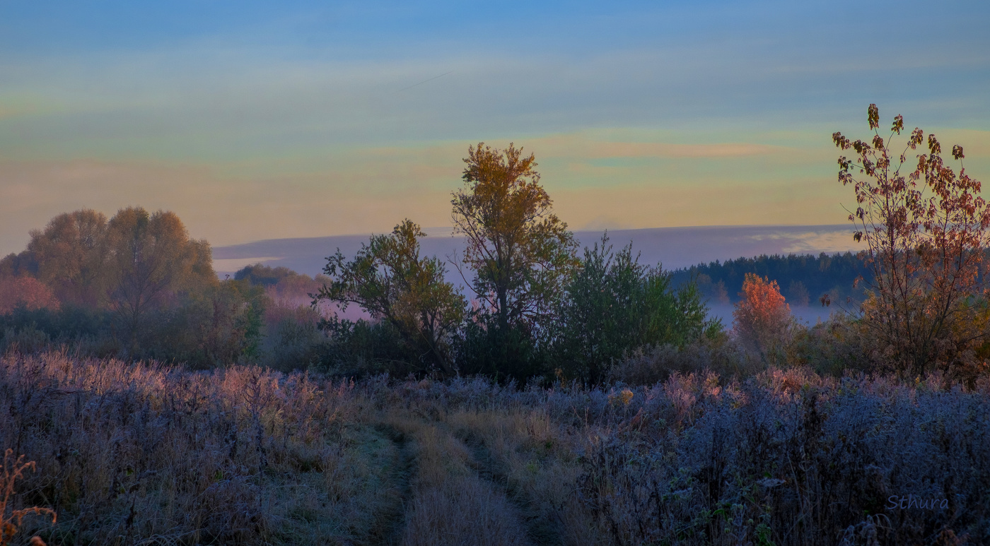 По дороге к озеру.