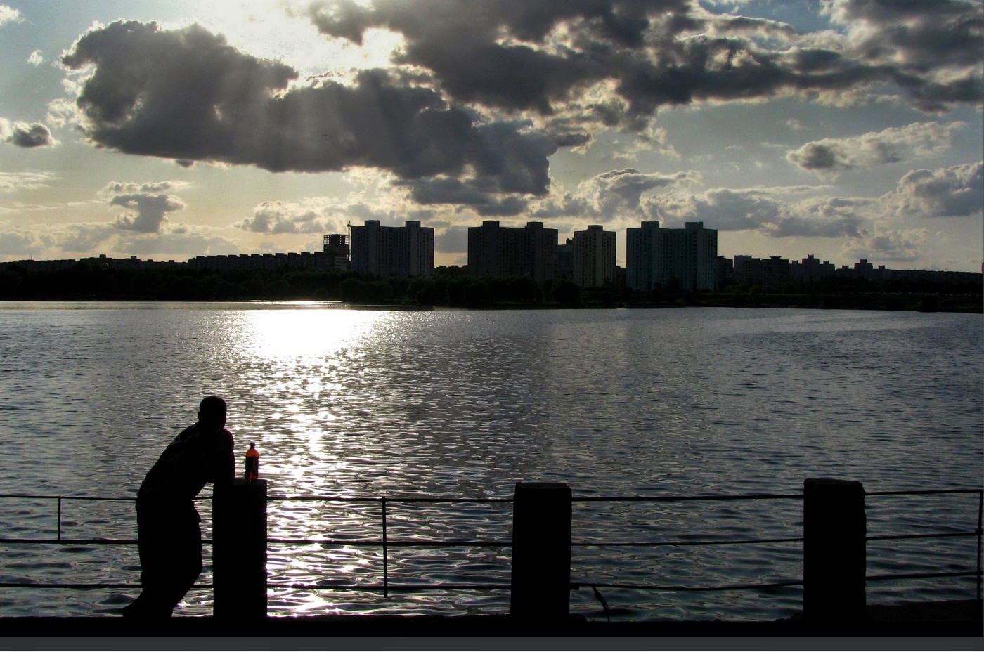 Вечерние силуэты...