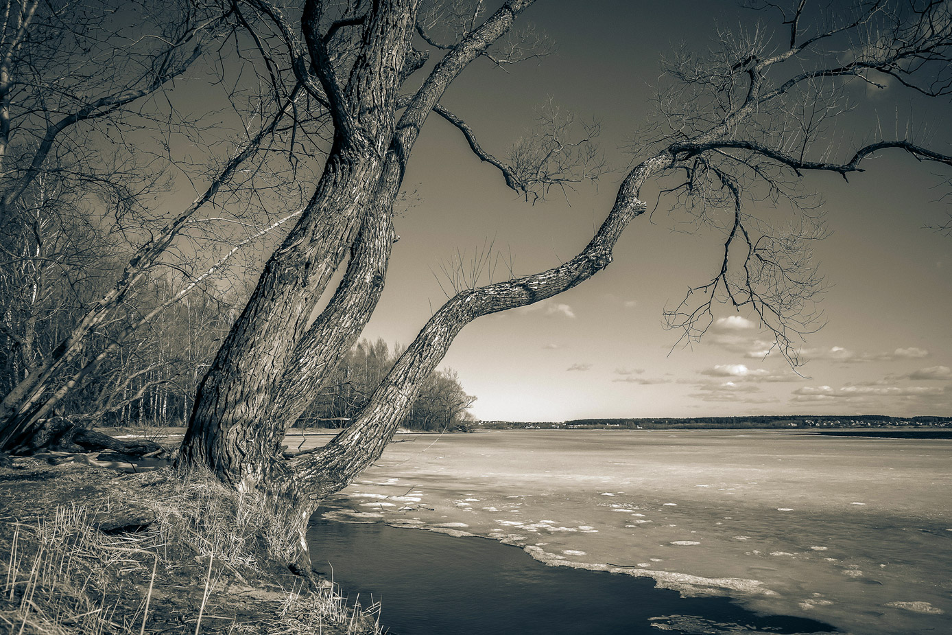 Март на минском море