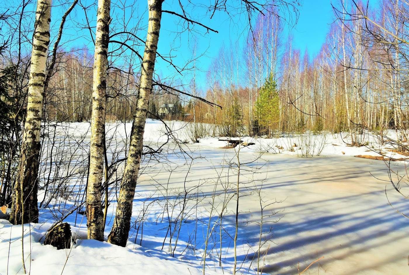 Мартовский этюд ...