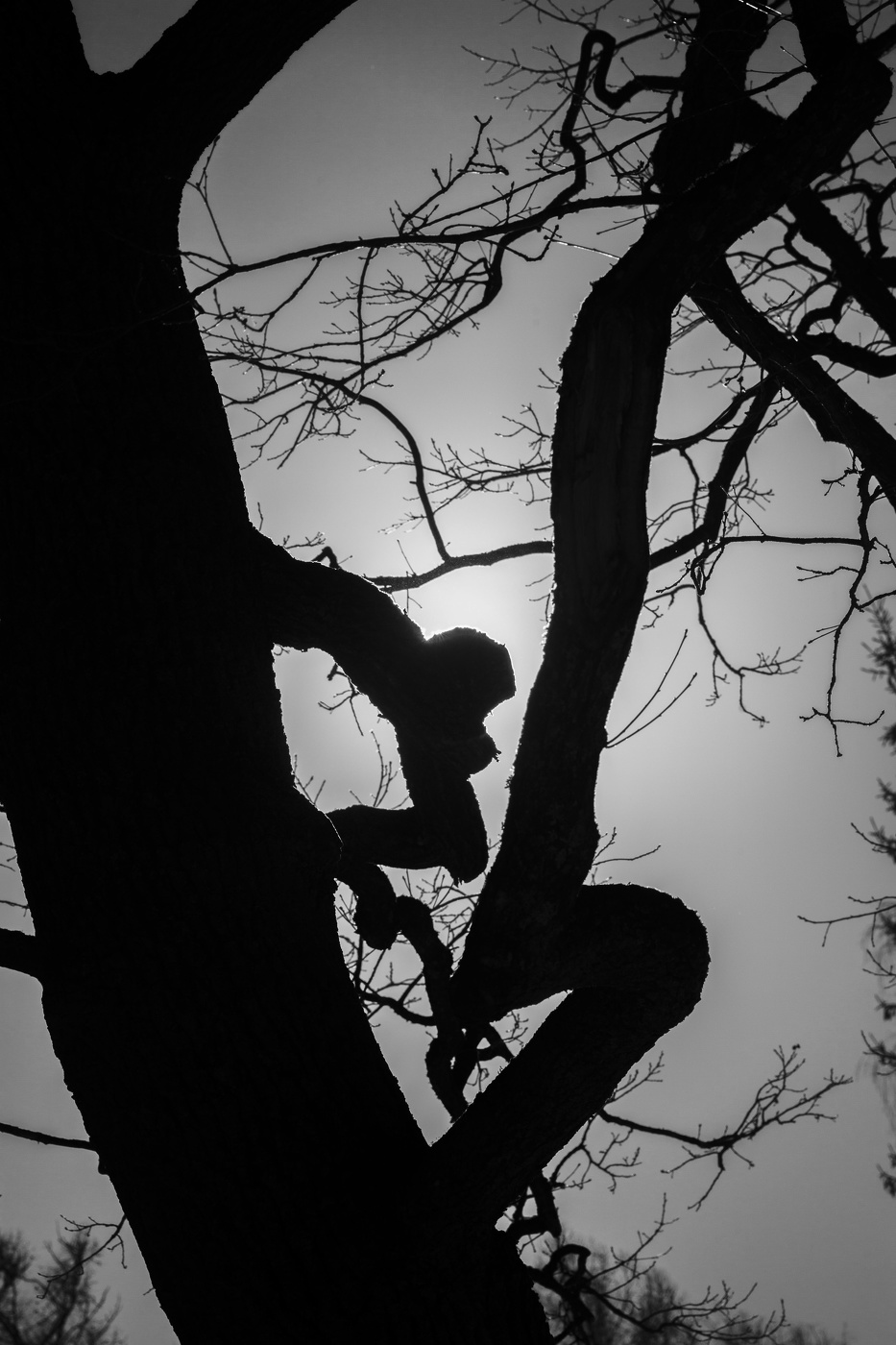 Жизнь вокруг