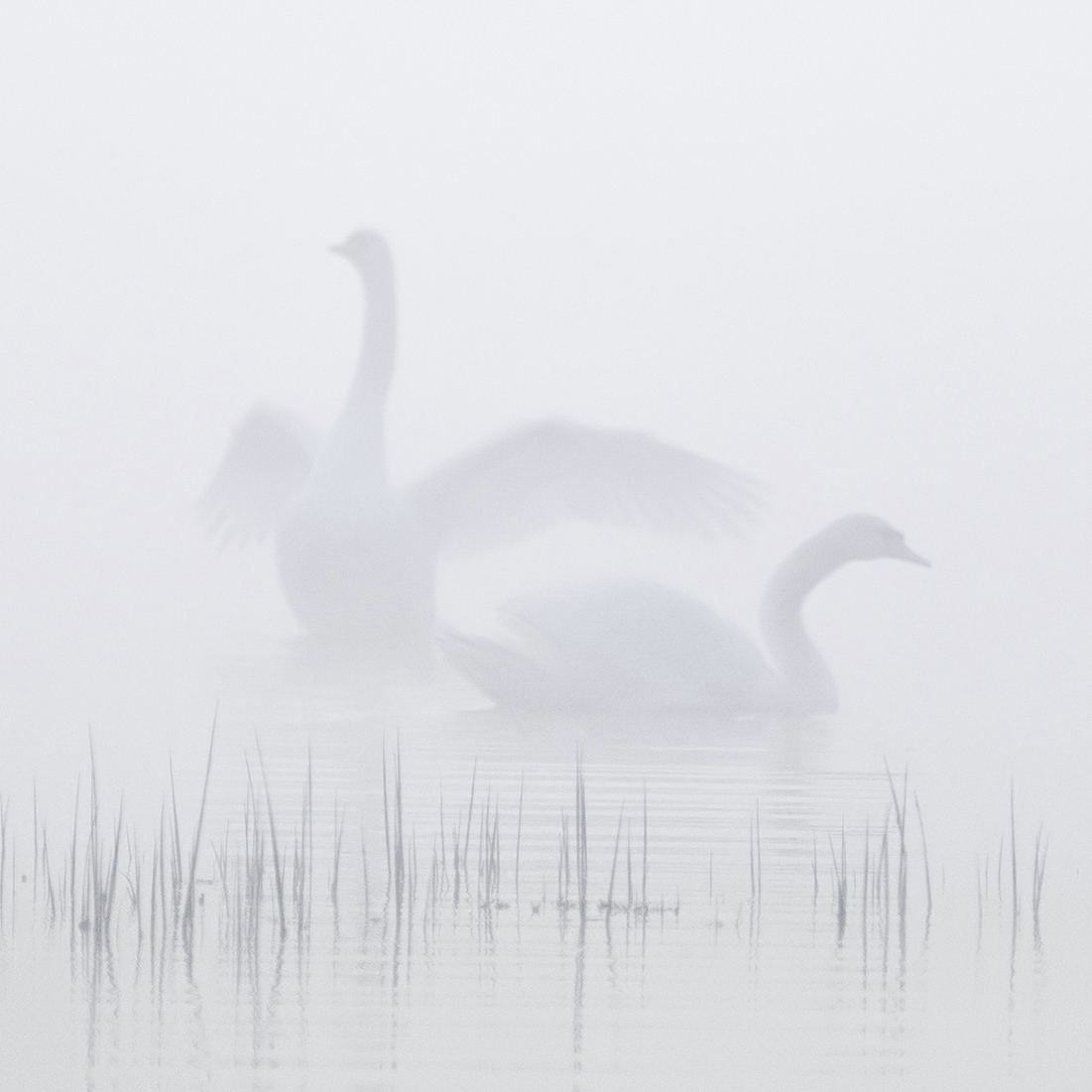 Призрачно всё...