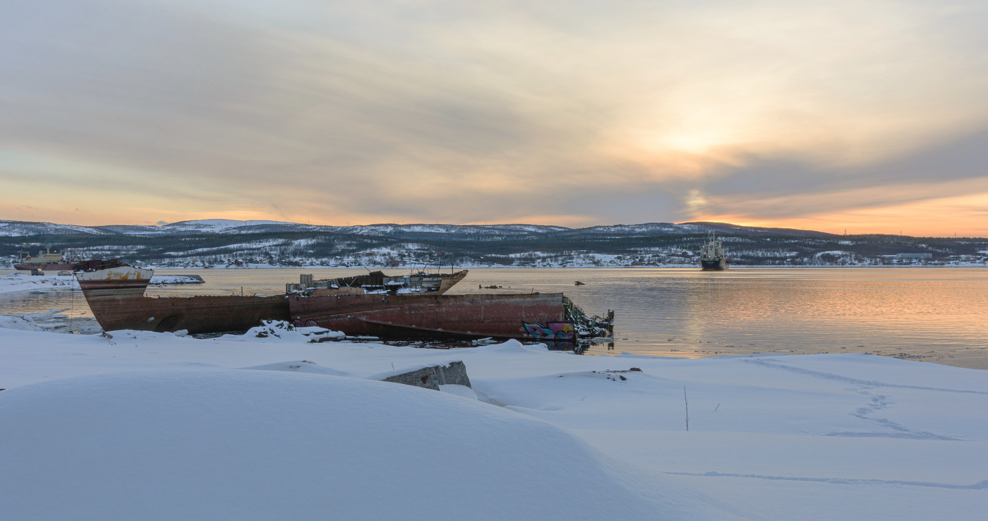 Вечер на заливе, останки водоплавающих