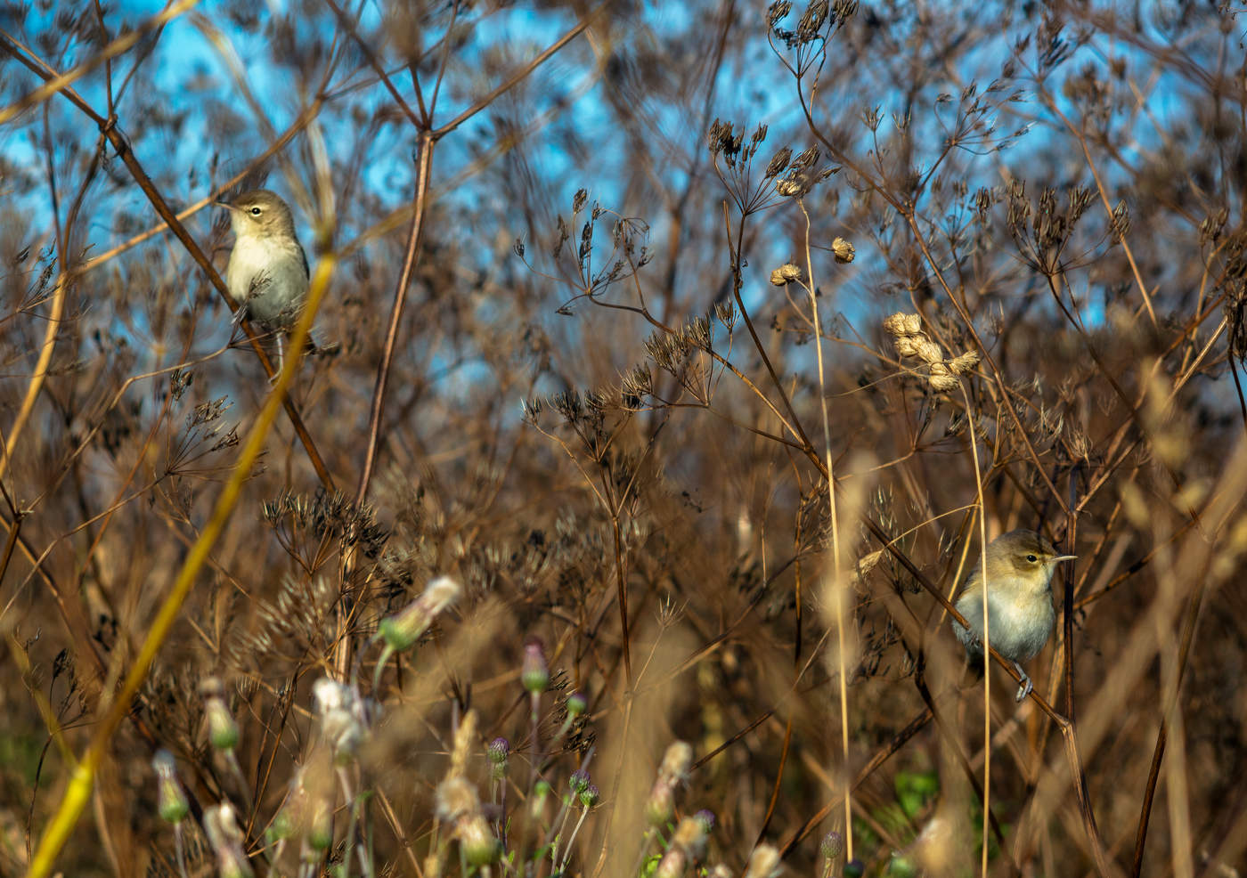 поссорились