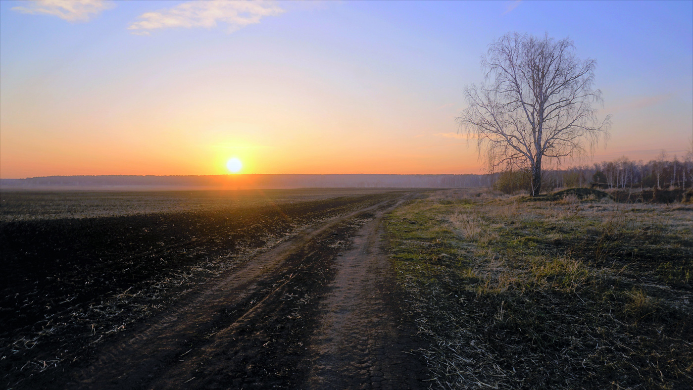 Весеннее утро