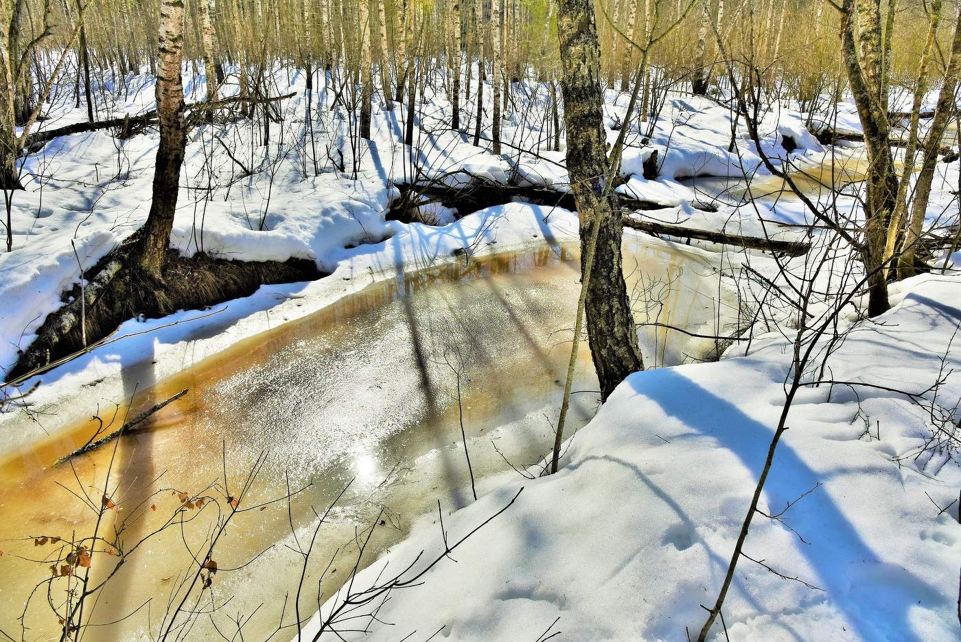 "Весна, весна, пора любви ..."