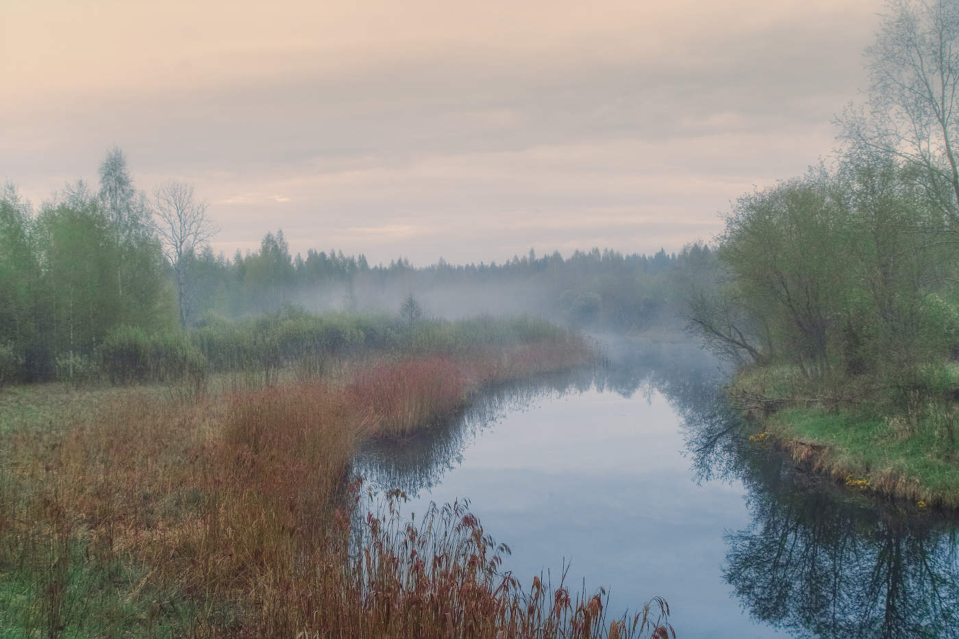 Тихие воды майского утра