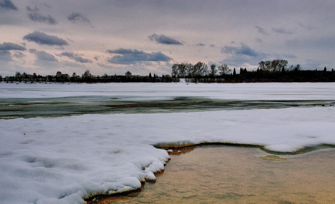 *Первые забереги.**